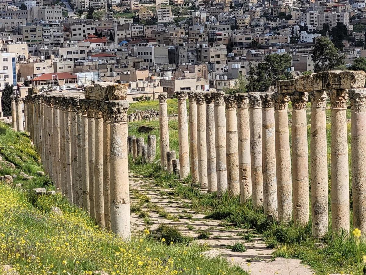 بيت الطبيعة Nature House Jarash Exteriör bild